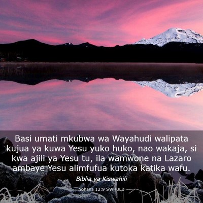 Picture 03 - Yohana 12:9 SWHULB - Basi umati mkubwa wa Wayahudi walipata kujua ya - Bible Verse Picture