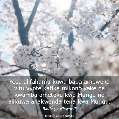 Picture 03 - Yohana 13:3 SWHULB - Yesu alifahamu kuwa baba ameweka vitu vyote - Bible Verse Picture