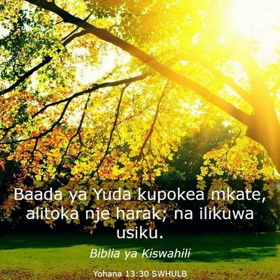 Picture 03 - Yohana 13:30 SWHULB - Baada ya Yuda kupokea mkate, alitoka nje harak; - Bible Verse Picture