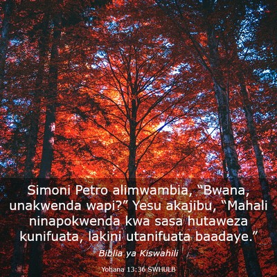 Picture 03 - Yohana 13:36 SWHULB - Simoni Petro alimwambia, “Bwana, unakwenda - Bible Verse Picture