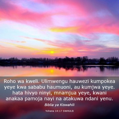 Picture 03 - Yohana 14:17 SWHULB - Roho wa kweli. Ulimwengu hauwezi kumpokea yeye - Bible Verse Picture