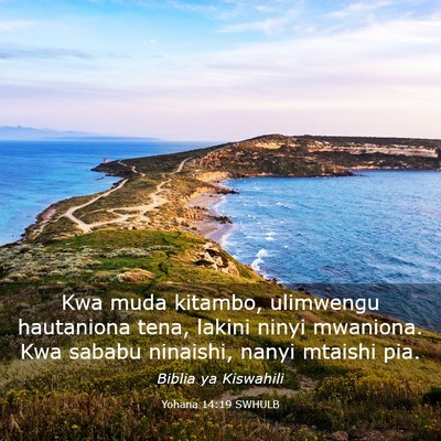 Picture 03 - Yohana 14:19 SWHULB - Kwa muda kitambo, ulimwengu hautaniona tena, - Bible Verse Picture