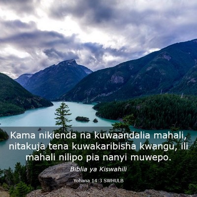Picture 03 - Yohana 14:3 SWHULB - Kama nikienda na kuwaandalia mahali, nitakuja - Bible Verse Picture