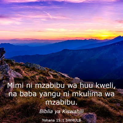 Picture 03 - Yohana 15:1 SWHULB - Mimi ni mzabibu wa huu kweli, na baba yangu ni - Bible Verse Picture