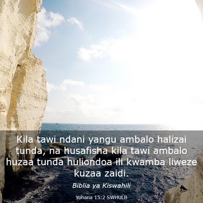 Picture 03 - Yohana 15:2 SWHULB - Kila tawi ndani yangu ambalo halizai tunda, na - Bible Verse Picture