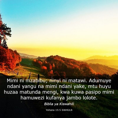 Picture 03 - Yohana 15:5 SWHULB - Mimi ni mzabibu; ninyi ni matawi. Adumuye ndani - Bible Verse Picture