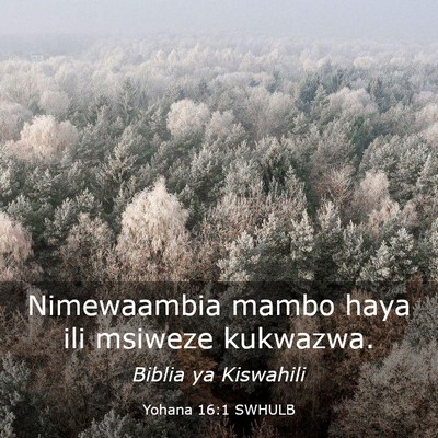 Picture 03 - Yohana 16:1 SWHULB - Nimewaambia mambo haya ili msiweze - Bible Verse Picture