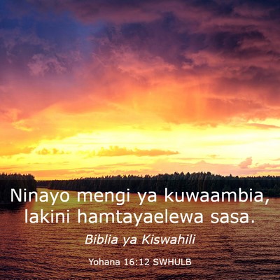 Picture 03 - Yohana 16:12 SWHULB - Ninayo mengi ya kuwaambia, lakini hamtayaelewa - Bible Verse Picture