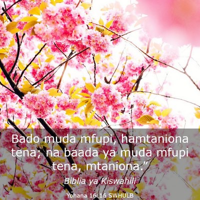 Picture 03 - Yohana 16:16 SWHULB - Bado muda mfupi, hamtaniona tena; na baada ya - Bible Verse Picture