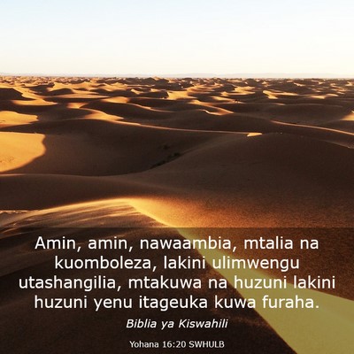 Picture 03 - Yohana 16:20 SWHULB - Amin, amin, nawaambia, mtalia na kuomboleza, - Bible Verse Picture