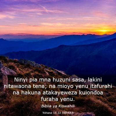 Picture 03 - Yohana 16:22 SWHULB - Ninyi pia mna huzuni sasa, lakini nitawaona tena; - Bible Verse Picture