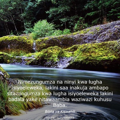 Picture 03 - Yohana 16:25 SWHULB - Nimezungumza na ninyi kwa lugha isiyoeleweka, - Bible Verse Picture