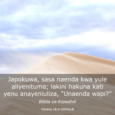 Picture 03 - Yohana 16:5 SWHULB - Japokuwa, sasa naenda kwa yule aliyenituma; - Bible Verse Picture