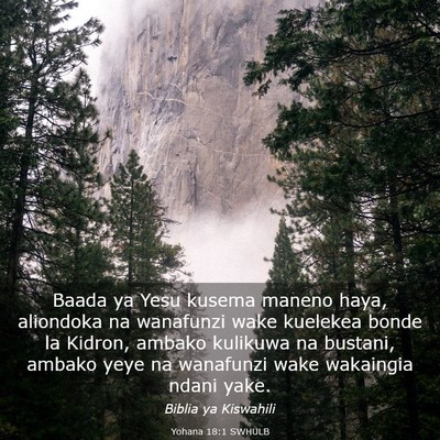 Picture 03 - Yohana 18:1 SWHULB - Baada ya Yesu kusema maneno haya, aliondoka na - Bible Verse Picture