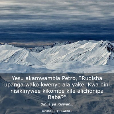 Picture 03 - Yohana 18:11 SWHULB - Yesu akamwambia Petro, “Rudisha upanga wako - Bible Verse Picture