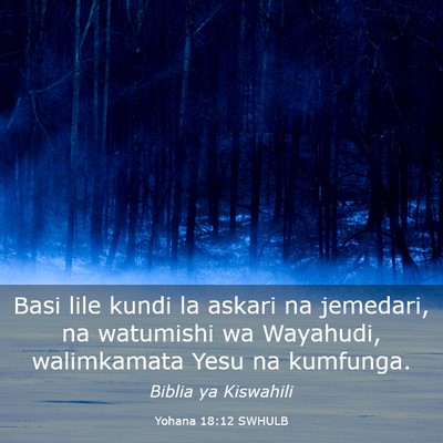 Picture 03 - Yohana 18:12 SWHULB - Basi lile kundi la askari na jemedari, na - Bible Verse Picture