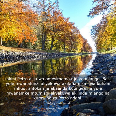 Picture 03 - Yohana 18:16 SWHULB - lakini Petro alikuwa amesimama nje ya mlango. - Bible Verse Picture