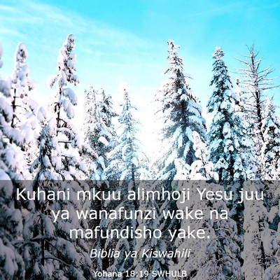 Picture 03 - Yohana 18:19 SWHULB - Kuhani mkuu alimhoji Yesu juu ya wanafunzi wake - Bible Verse Picture