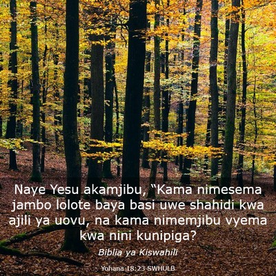 Picture 03 - Yohana 18:23 SWHULB - Naye Yesu akamjibu, “Kama nimesema jambo lolote - Bible Verse Picture