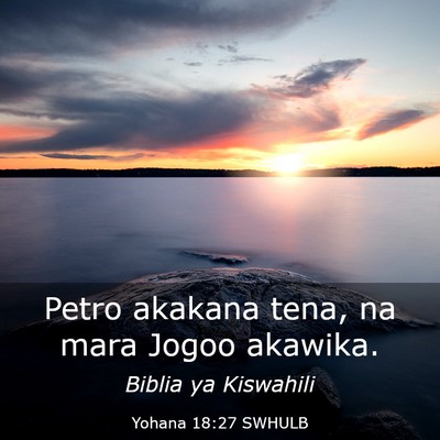 Picture 03 - Yohana 18:27 SWHULB - Petro akakana tena, na mara Jogoo - Bible Verse Picture