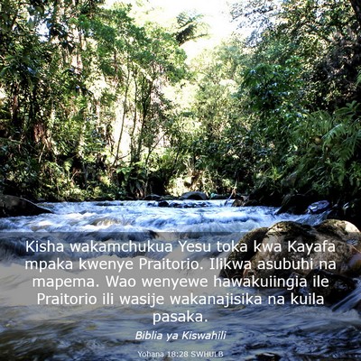 Picture 03 - Yohana 18:28 SWHULB - Kisha wakamchukua Yesu toka kwa Kayafa mpaka - Bible Verse Picture