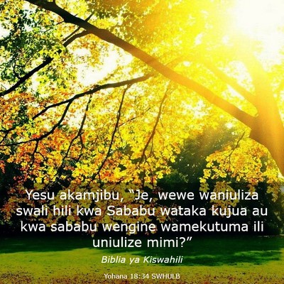 Picture 03 - Yohana 18:34 SWHULB - Yesu akamjibu, “Je, wewe waniuliza swali hili - Bible Verse Picture