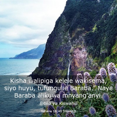 Picture 03 - Yohana 18:40 SWHULB - Kisha walipiga kelele wakisema, siyo huyu, - Bible Verse Picture