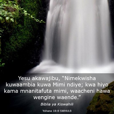 Picture 03 - Yohana 18:8 SWHULB - Yesu akawajibu, “Nimekwisha kuwaambia kuwa Mimi - Bible Verse Picture