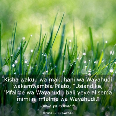 Picture 03 - Yohana 19:21 SWHULB - Kisha wakuu wa makuhani wa Wayahudi wakamwambia - Bible Verse Picture