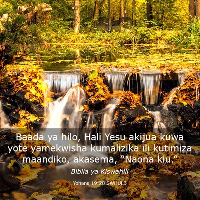 Picture 03 - Yohana 19:28 SWHULB - Baada ya hilo, Hali Yesu akijua kuwa yote - Bible Verse Picture