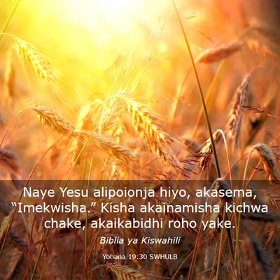 Picture 03 - Yohana 19:30 SWHULB - Naye Yesu alipoionja hiyo, akasema, - Bible Verse Picture