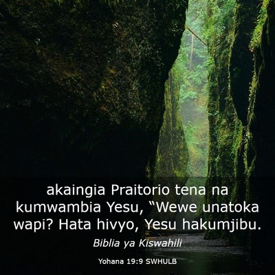 Picture 03 - Yohana 19:9 SWHULB - akaingia Praitorio tena na kumwambia Yesu, - Bible Verse Picture