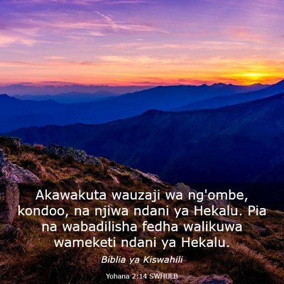 Picture 03 - Yohana 2:14 SWHULB - Akawakuta wauzaji wa ng'ombe, kondoo, na njiwa - Bible Verse Picture
