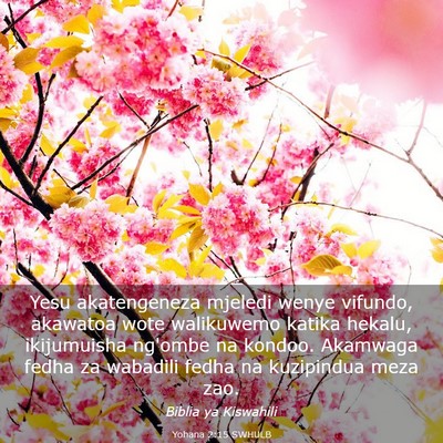 Picture 03 - Yohana 2:15 SWHULB - Yesu akatengeneza mjeledi wenye vifundo, akawatoa - Bible Verse Picture