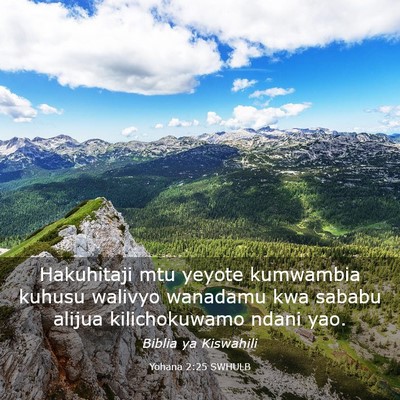 Picture 03 - Yohana 2:25 SWHULB - Hakuhitaji mtu yeyote kumwambia kuhusu walivyo - Bible Verse Picture