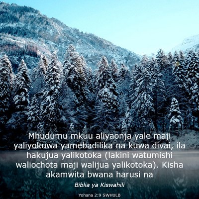 Picture 03 - Yohana 2:9 SWHULB - Mhudumu mkuu aliyaonja yale maji yaliyokuwa - Bible Verse Picture