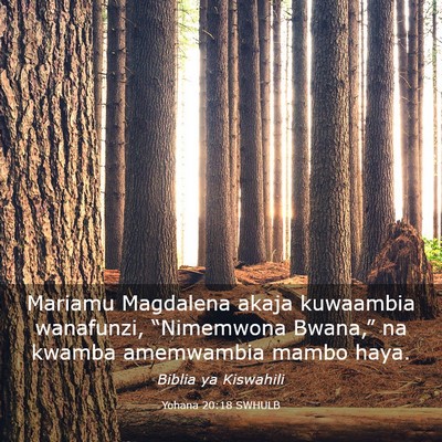 Picture 03 - Yohana 20:18 SWHULB - Mariamu Magdalena akaja kuwaambia wanafunzi, - Bible Verse Picture