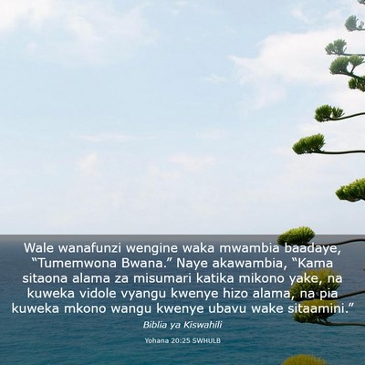 Picture 03 - Yohana 20:25 SWHULB - Wale wanafunzi wengine waka mwambia baadaye, - Bible Verse Picture