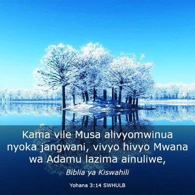 Picture 03 - Yohana 3:14 SWHULB - Kama vile Musa alivyomwinua nyoka jangwani, vivyo - Bible Verse Picture