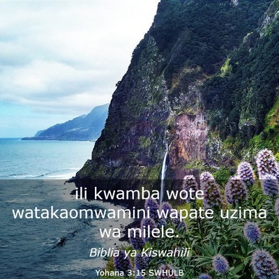 Picture 03 - Yohana 3:15 SWHULB - ili kwamba wote watakaomwamini wapate uzima wa - Bible Verse Picture