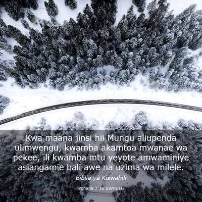 Picture 03 - Yohana 3:16 SWHULB - Kwa maana jinsi hii Mungu aliupenda ulimwengu, - Bible Verse Picture
