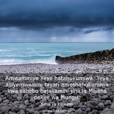 Picture 03 - Yohana 3:18 SWHULB - Amwaminiye Yeye hatahukumiwa. Yeye asiyemwamini - Bible Verse Picture