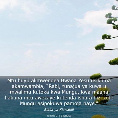 Picture 03 - Yohana 3:2 SWHULB - Mtu huyu alimwendea Bwana Yesu usiku na - Bible Verse Picture