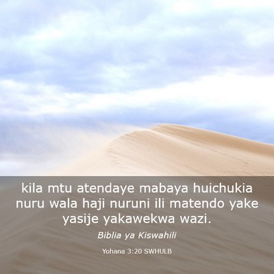 Picture 03 - Yohana 3:20 SWHULB - kila mtu atendaye mabaya huichukia nuru wala haji - Bible Verse Picture
