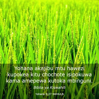 Picture 03 - Yohana 3:27 SWHULB - Yohana akajibu mtu hawezi kupokea kitu chochote - Bible Verse Picture