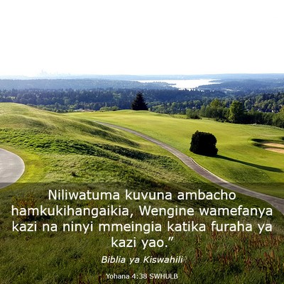Picture 03 - Yohana 4:38 SWHULB - Niliwatuma kuvuna ambacho hamkukihangaikia, - Bible Verse Picture