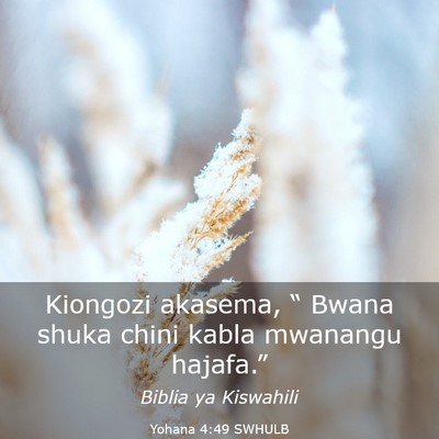 Picture 03 - Yohana 4:49 SWHULB - Kiongozi akasema, “ Bwana shuka chini kabla - Bible Verse Picture