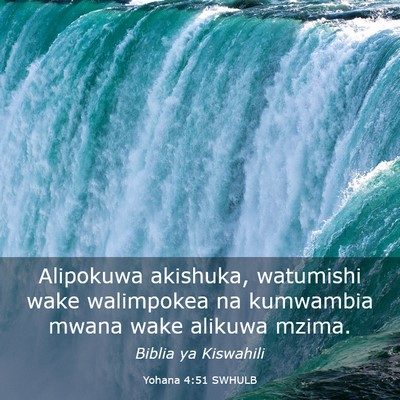 Picture 03 - Yohana 4:51 SWHULB - Alipokuwa akishuka, watumishi wake walimpokea na - Bible Verse Picture