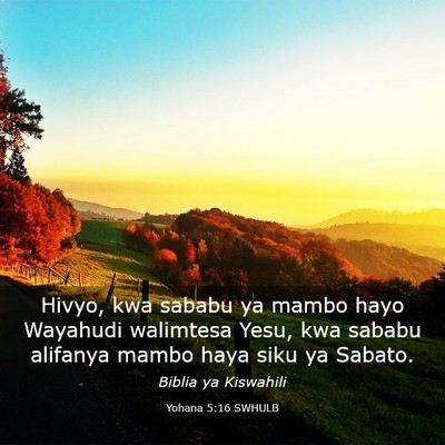 Picture 03 - Yohana 5:16 SWHULB - Hivyo, kwa sababu ya mambo hayo Wayahudi - Bible Verse Picture