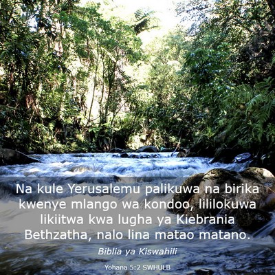 Picture 03 - Yohana 5:2 SWHULB - Na kule Yerusalemu palikuwa na birika kwenye - Bible Verse Picture